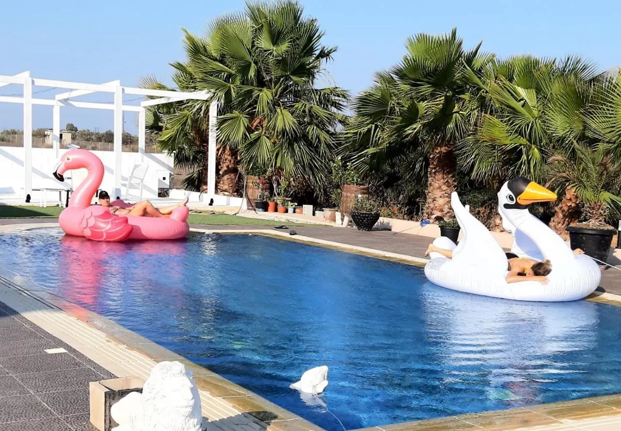 The Pervoli Studio - Pool - Close To Beach Larnaca 0*,